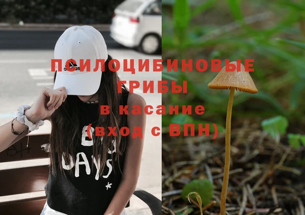 jwh Богданович