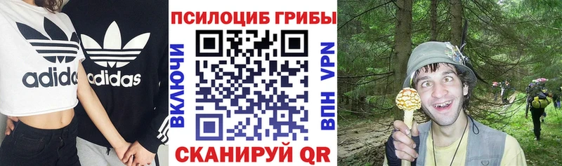 Галлюциногенные грибы GOLDEN TEACHER купить Ейск